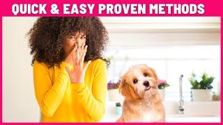 How To Get Dog Urine Smell Out Of House? Quick & Easy Proven Methods