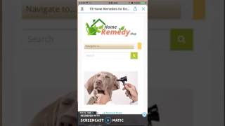 Review of DogBot