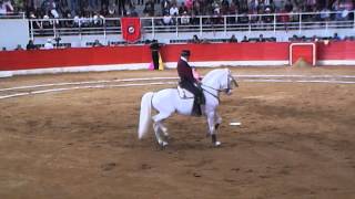 Ritual flamenco al caballo