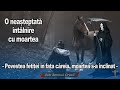 O Neasteptata Intalnire Cu Moartea Povestea Fetitei In Fata Careia Moartea S A Inclinat