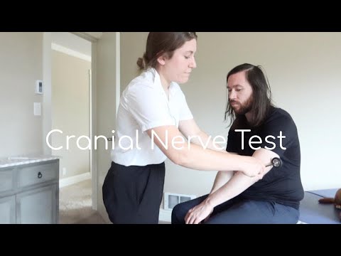 The Pat LaFontaine Cranial Nerve Test Except It's Jeremy and Hannah [ASMR Parody]