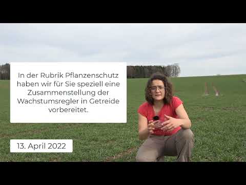 Pflanzenbau Aktuell - 13.04.2022
