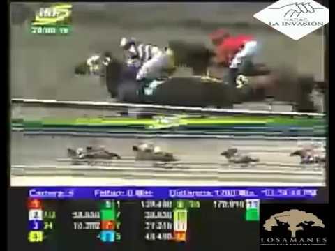 LA RINCONADA 6 CARRERA, DOMINGO 28 DE AGOSTO DEL 2016