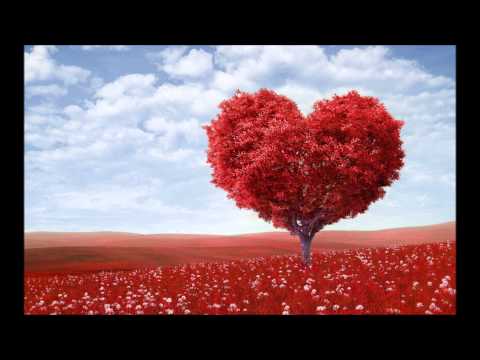 Sensicane Ft. Jayson - Als Je Bij Me Bent