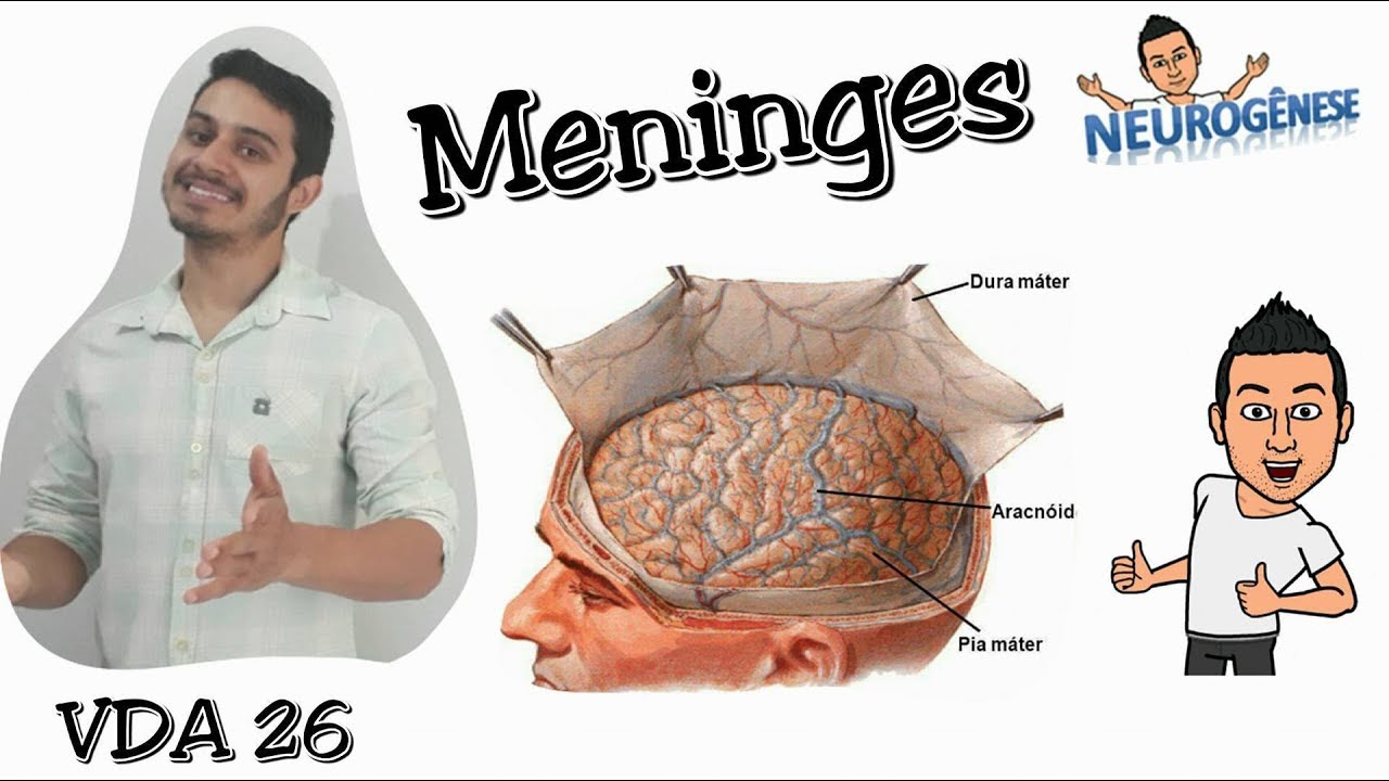 Meninges - Vídeo Aula 26