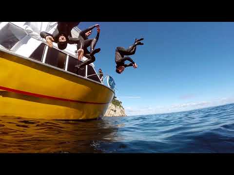 A Day diving the Poor Knights Islands with Dive! Tutukaka