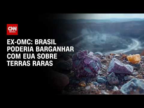 Tarifaço: Brasil poderia barganhar com EUA sobre terras raras, diz ex-OMC | WW