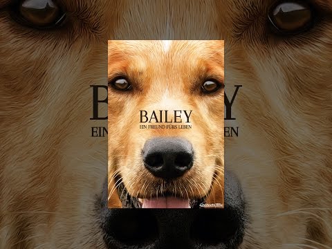 Bailey - Ein Freund fürs Leben
