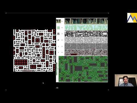 [MUC++] Eduardo Madrid - Type Erasure exhibits Emergent Behavior