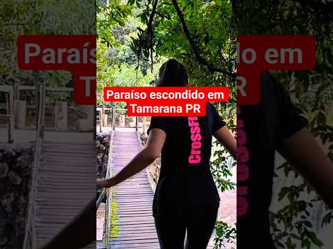 Acampamento em Tamarana PR #acampamento #camping #pescacombambu #natureza #aventura