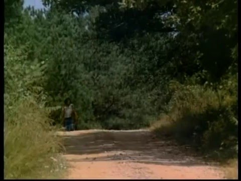 Moonrunners 1975 Guitar walk