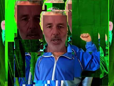Baxter Dury - Mockingjay (Official Visuliser)