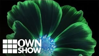 Stop Setting Your Daily Birth Control Alarm | #OWNSHOW | Oprah Online