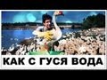 Галилео. Как с гуся вода 