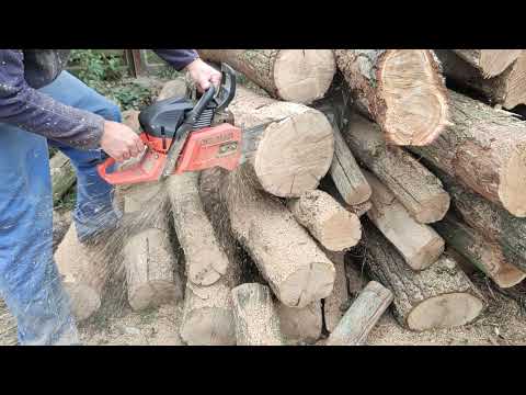 Dolmar ps 550 hard and dry wood cutting