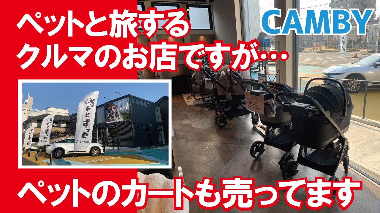 【ペットのカートも売ってるキャンピングカー屋さん？】日本で数少ないペット専用キャンピングカーショップ「CAMBY」が名古屋に登場【4K】