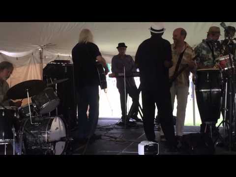 Steve Morgan and The Kingfish- "I don't need no doctor"