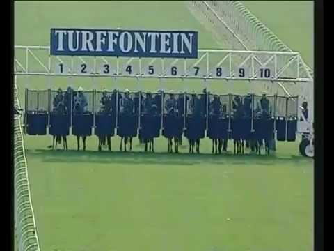 GAVELHOUSE STALLIONS