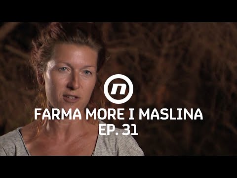 Zdenku je nemoguće pratiti? - Epizoda 31 | Farma More i Maslina