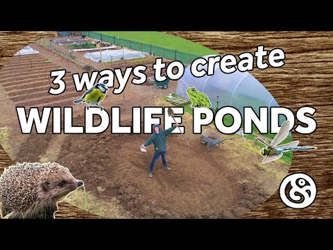 A Wildlife Pond WITHOUT black plastic! Start to Finish.