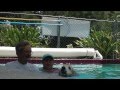 Golden Retriever Nicky Goes Swimming The Music V