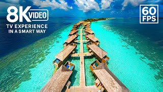BEST TV TEST in 8K VIDEO ULTRA HD 60FPS