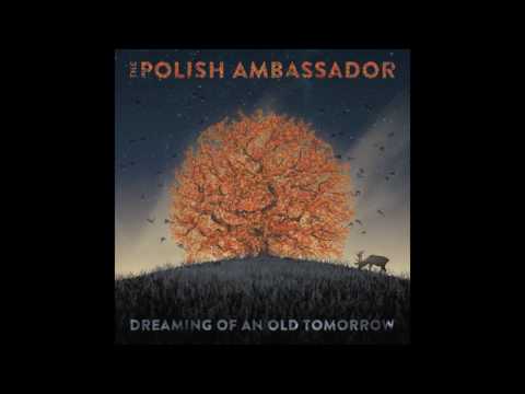 The Polish Ambassador - Wonder Continental Feat. Beatbeat Whisper (Original Mix)