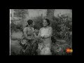 சட்டநாதனுக்கு பட்ட நாமம் போட்டுட்டா 