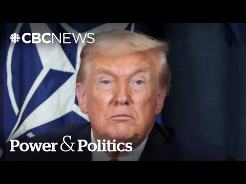 Fmr. UN ambassador calls Trump relations 'nuts' after jab at Canada in Davos | Power & Politics