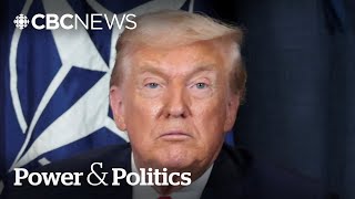 Fmr. UN ambassador calls Trump relations 'nuts' after jab at Canada in Davos | Power & Politics