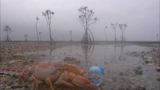 Devonwho - Recurringtheme