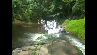 A tryst with nature - Dhoni, Palakkad