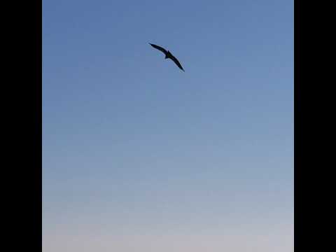 La Pietra di San Marco Cassano Ionio