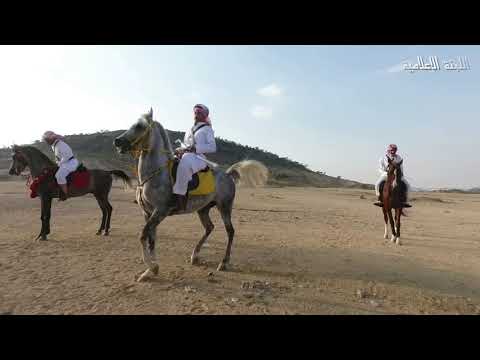 التعشير و استعراض الخيول لشباب قبيلة آل حسن - 1438