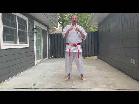 Tengoku Ryu Karate Instructional Video 4 - Basic Techniques: Kihon Waza   Set 3