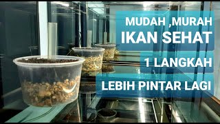 SEMI UNDER GRAVEL SUPER POWER EFISIEN