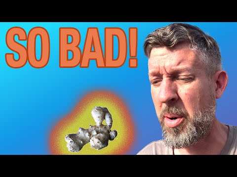 Survival Crop Myth Busted: Not So Perfect!