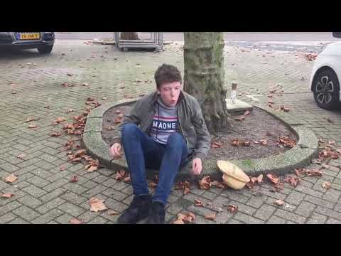 Cwo De Spaansche Brabander