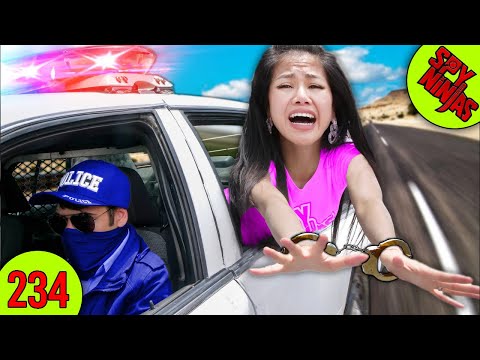 I GOT ARRESTED & Must ESCAPE COP CAR in 24 Hours - Spy Ninjas #234