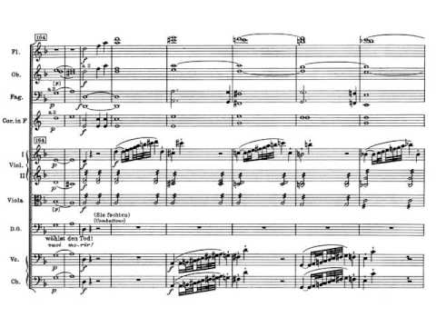 Mozart: Don Giovanni Acto 1 Escena 1. 1- Introduzione. Partitura y Audición