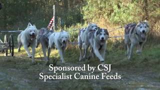 Sleddog Racing at the  IFSS Euro Dryland Championships  Thetford Forest, England,  November 2016