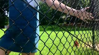 lil thing - knox fortune