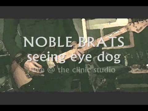 NOBLE BRATS seeing eye dog