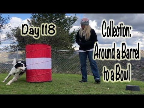 Day 118: Collection - Around a Barrel to a Bowl (2nd Back Surgery)