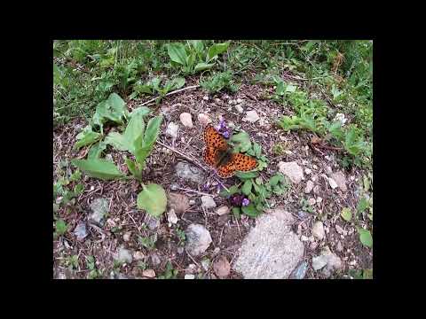 Zernez, discover Switzerland.