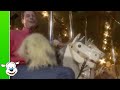 Samson & Gert - Kermis Samson & Gert - Kermis