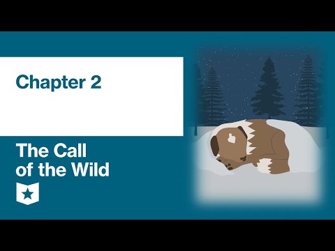 The Call Of The Wild Study Guide Course Hero The Call Of The Wild Study Guide Course Hero