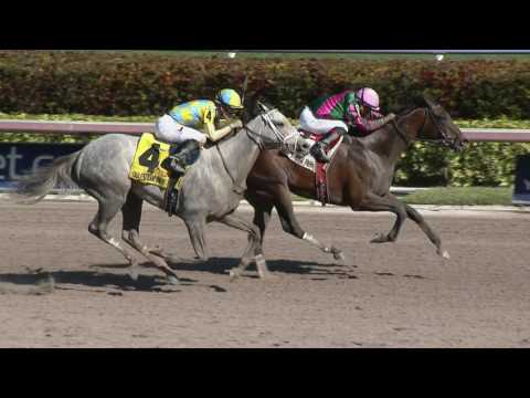 Rising 3-Year-Old Fillies Contest 2017 Gulfstream Park Oaks