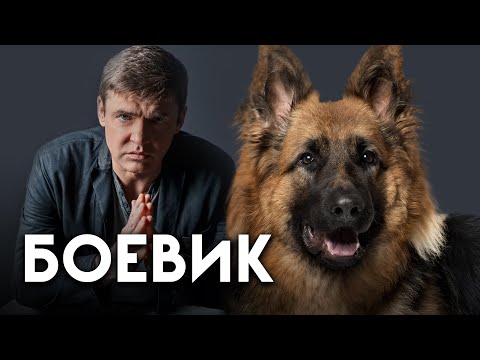 БОЕВИК ОБ ИСТИННЫХ ЦЕННОСТЯХ - Собака слепого - Русские фильмы, Премьера HD