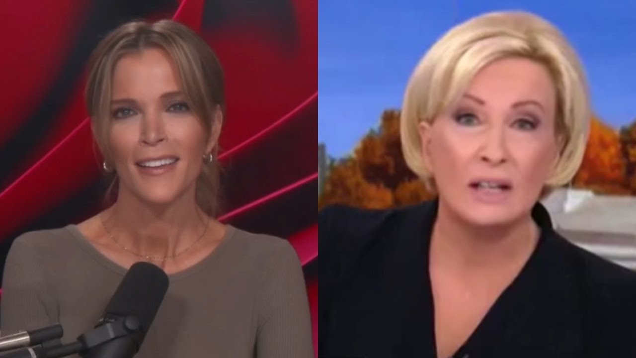 ‘They're crying’: Megyn Kelly calls out MSNBC meltdown over US election